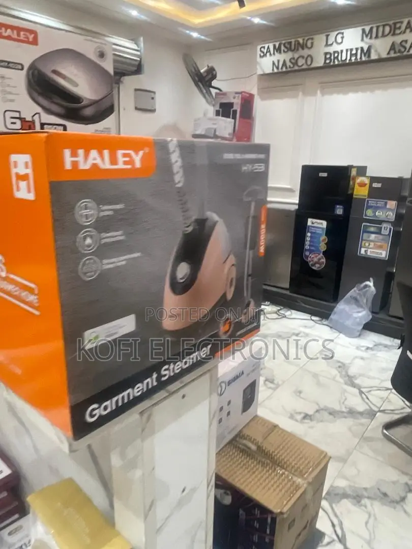 Haley Garment Steamer Modern, Efficient Wrinkle Solution