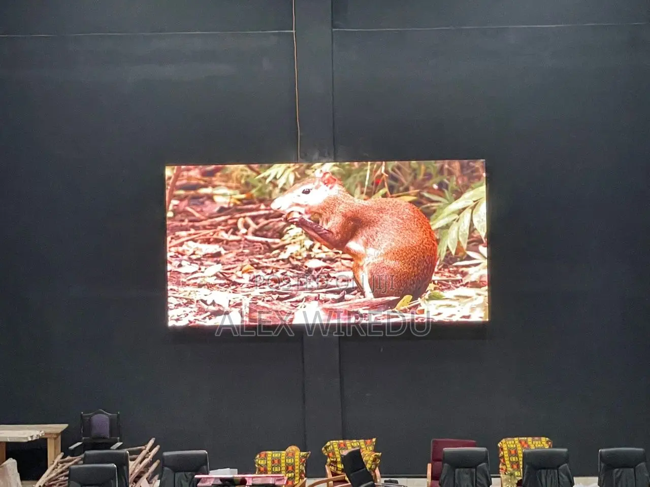 Led Screen Indoors and Outdoor