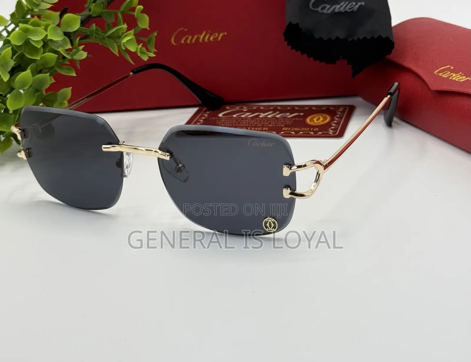 Cartier Rimless Glasses With Stainless Handles