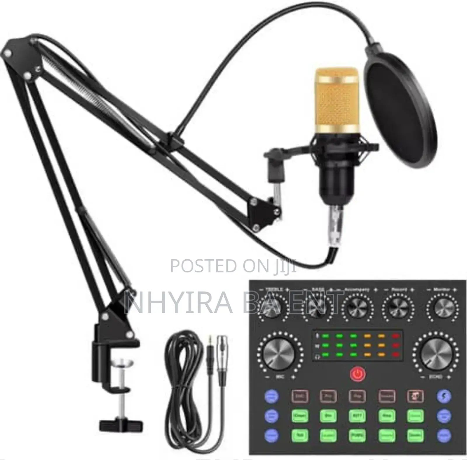 Professional Condenser Microphone