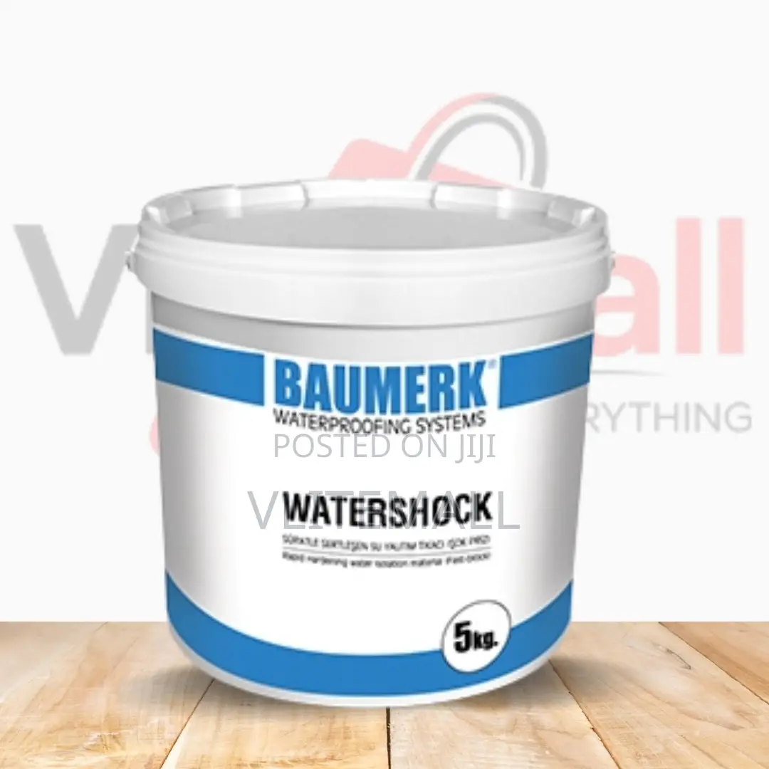 Baumerk Watershock Cement Based Water Plug Rcc Leaks/Crack