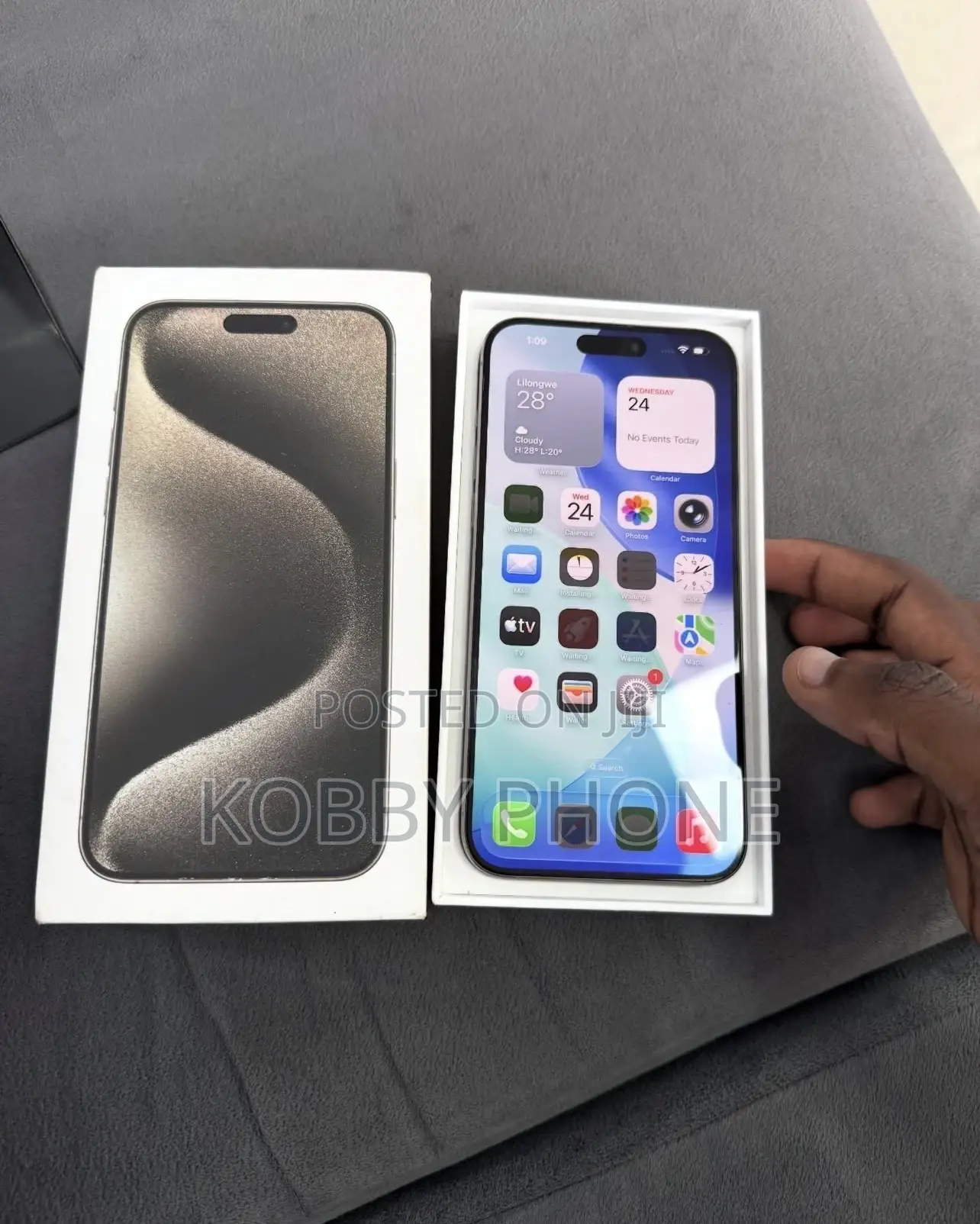 Apple iPhone 15 Pro Max 256 GB Silver