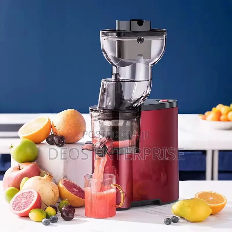 Get Healthy With Sokany 300w Slow Juicer