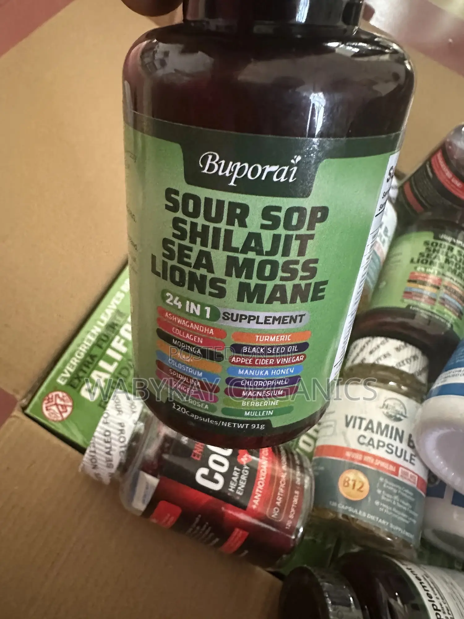 Soursap, Shilajit, Lions Mane Combo