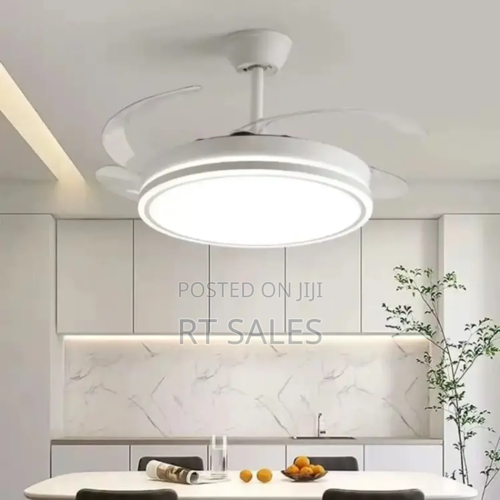 Modern Ceiling Fan With Light