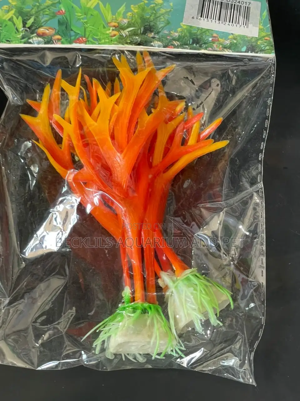 Mini Aquarium Plants