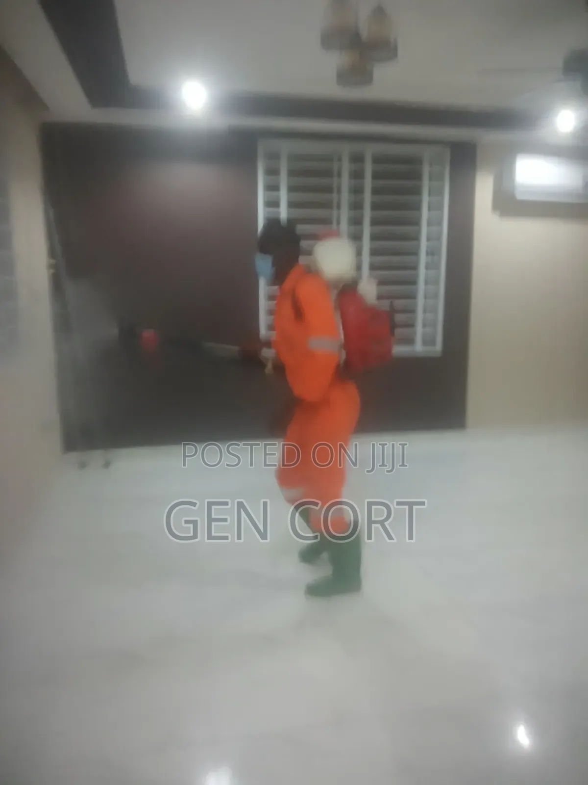 Pest Control and More