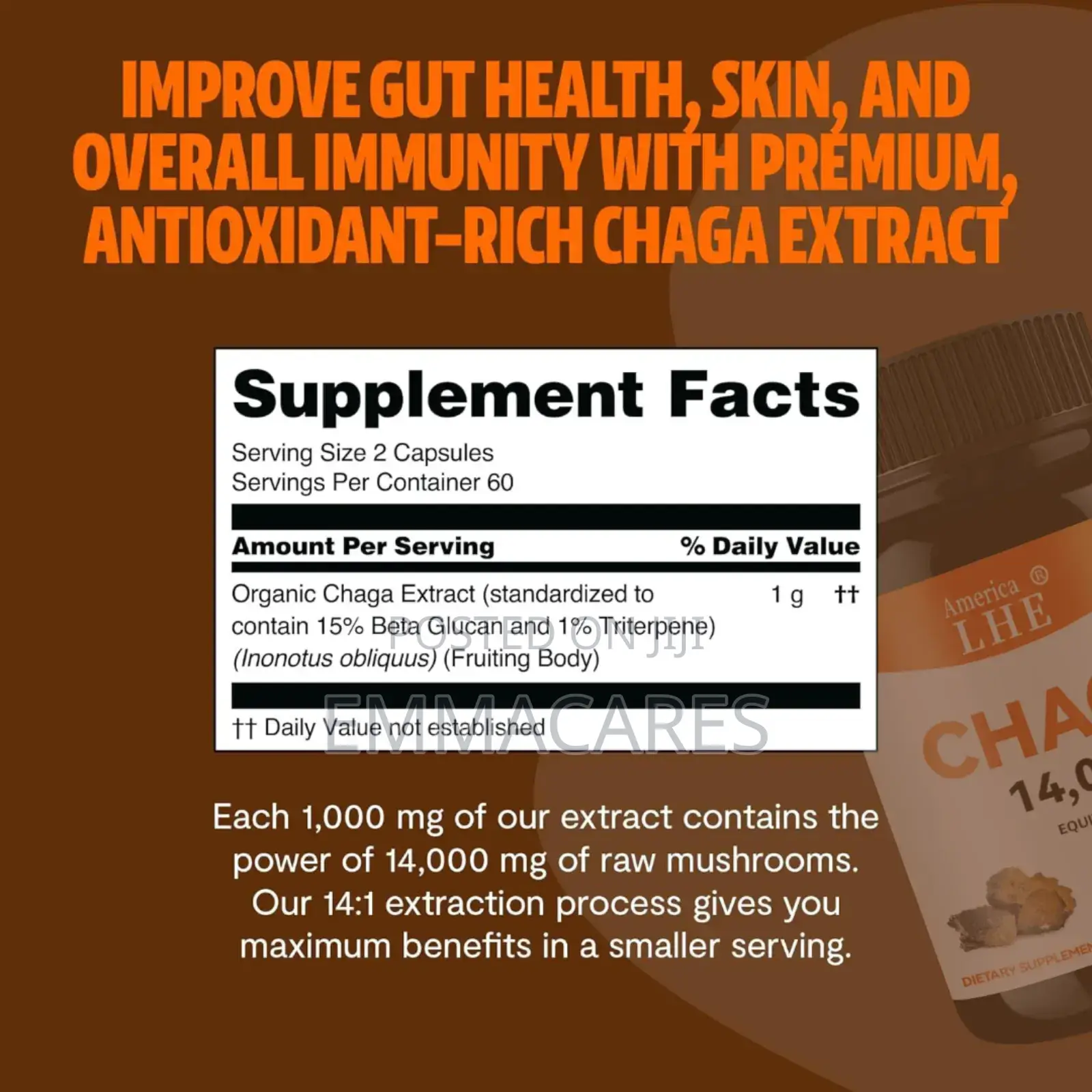 Chaga Mushroom Supplement