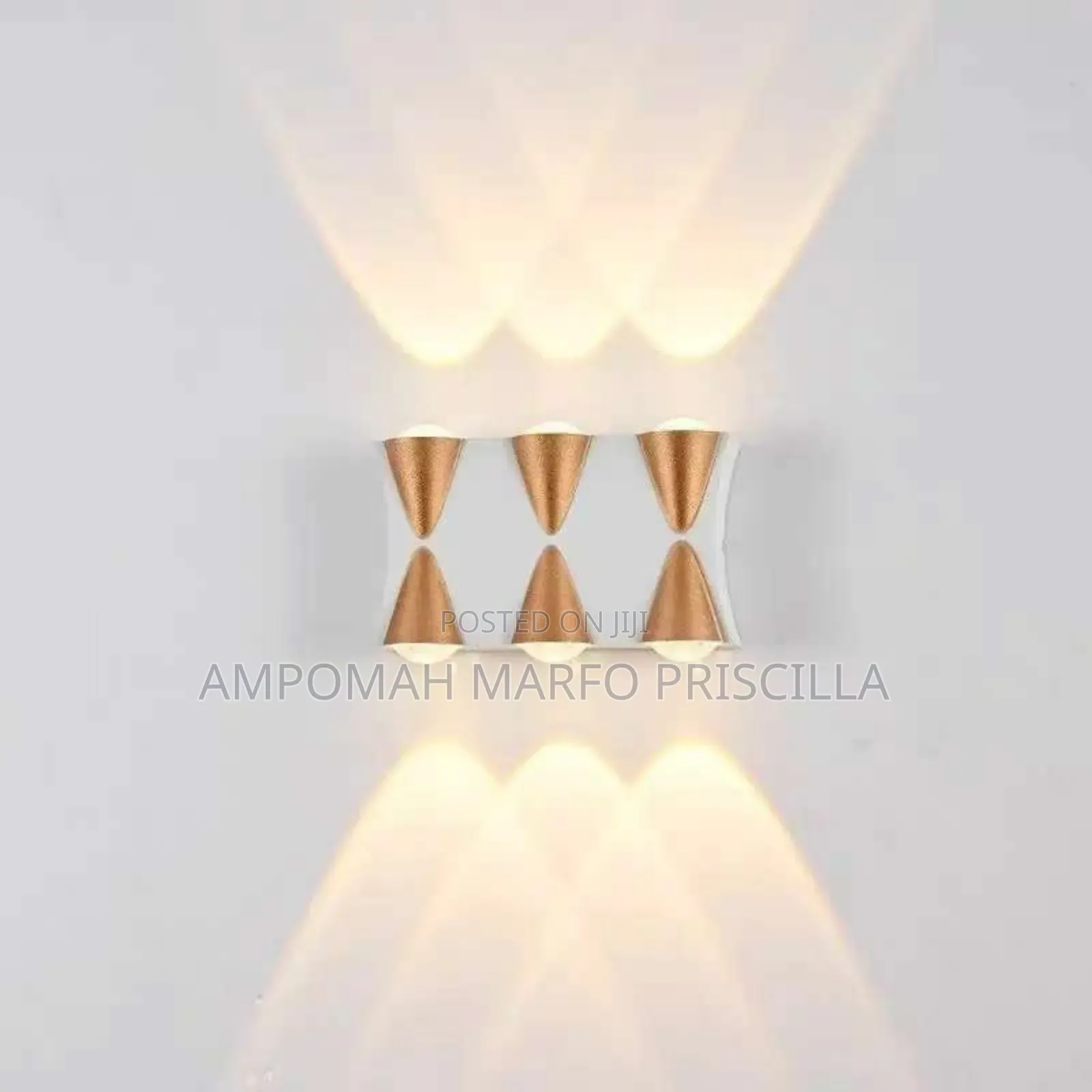 Outdoor and Indoor Wall Light
