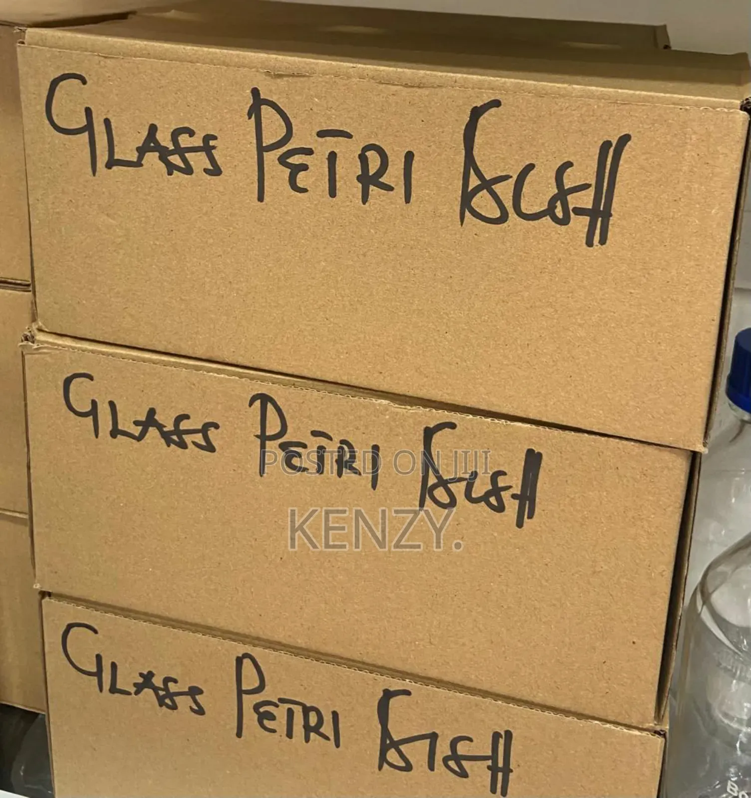 Petri Dish (Glass)