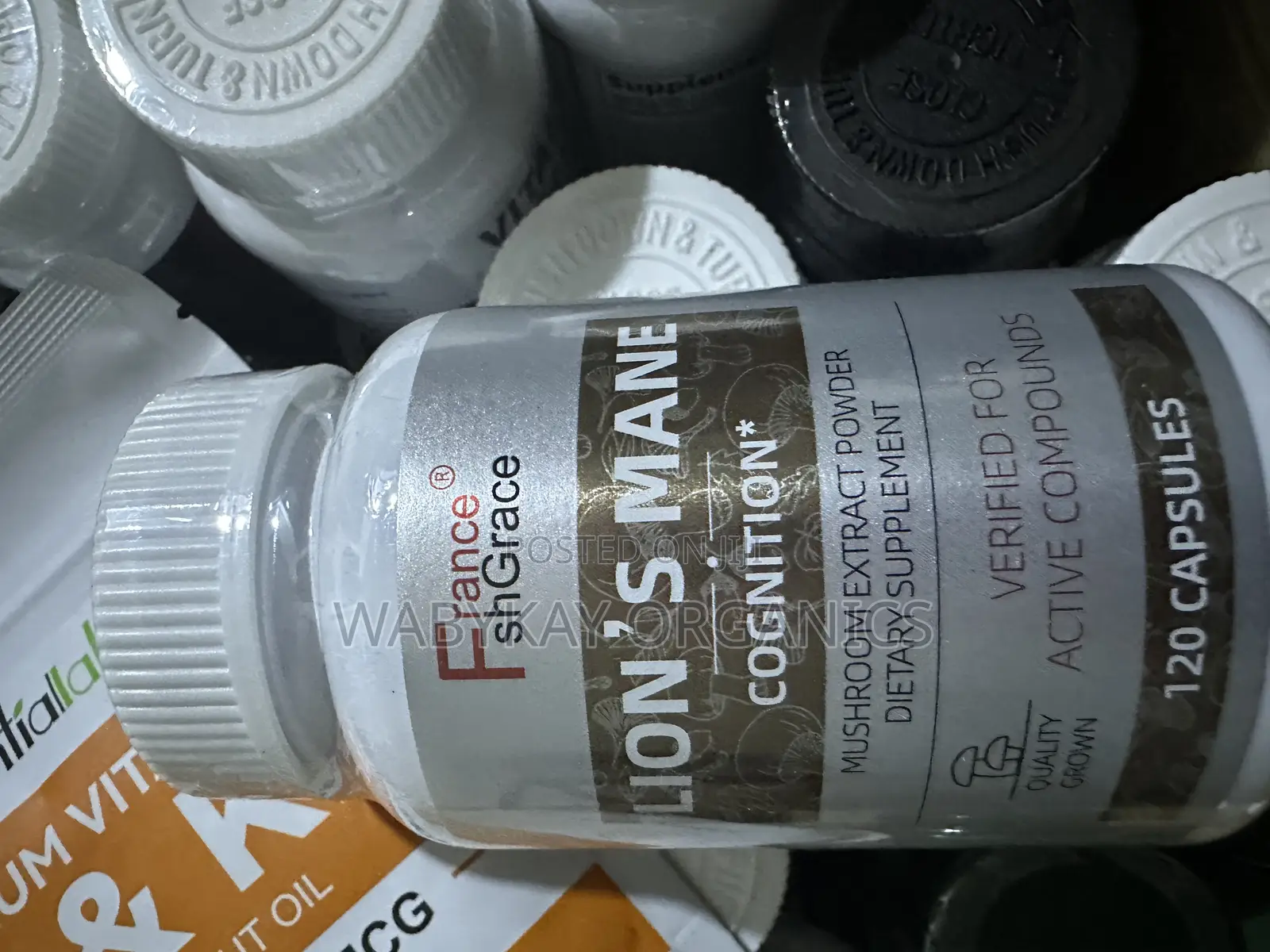 Lions Mane Capsule-120 Tabs