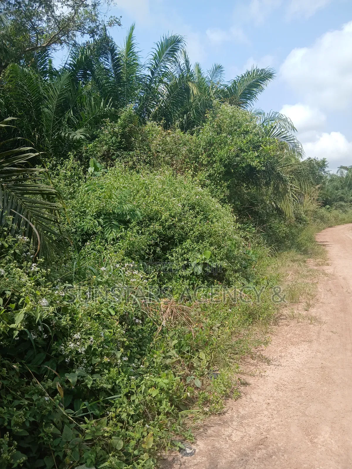 Farm Land For Sale In Hohoe