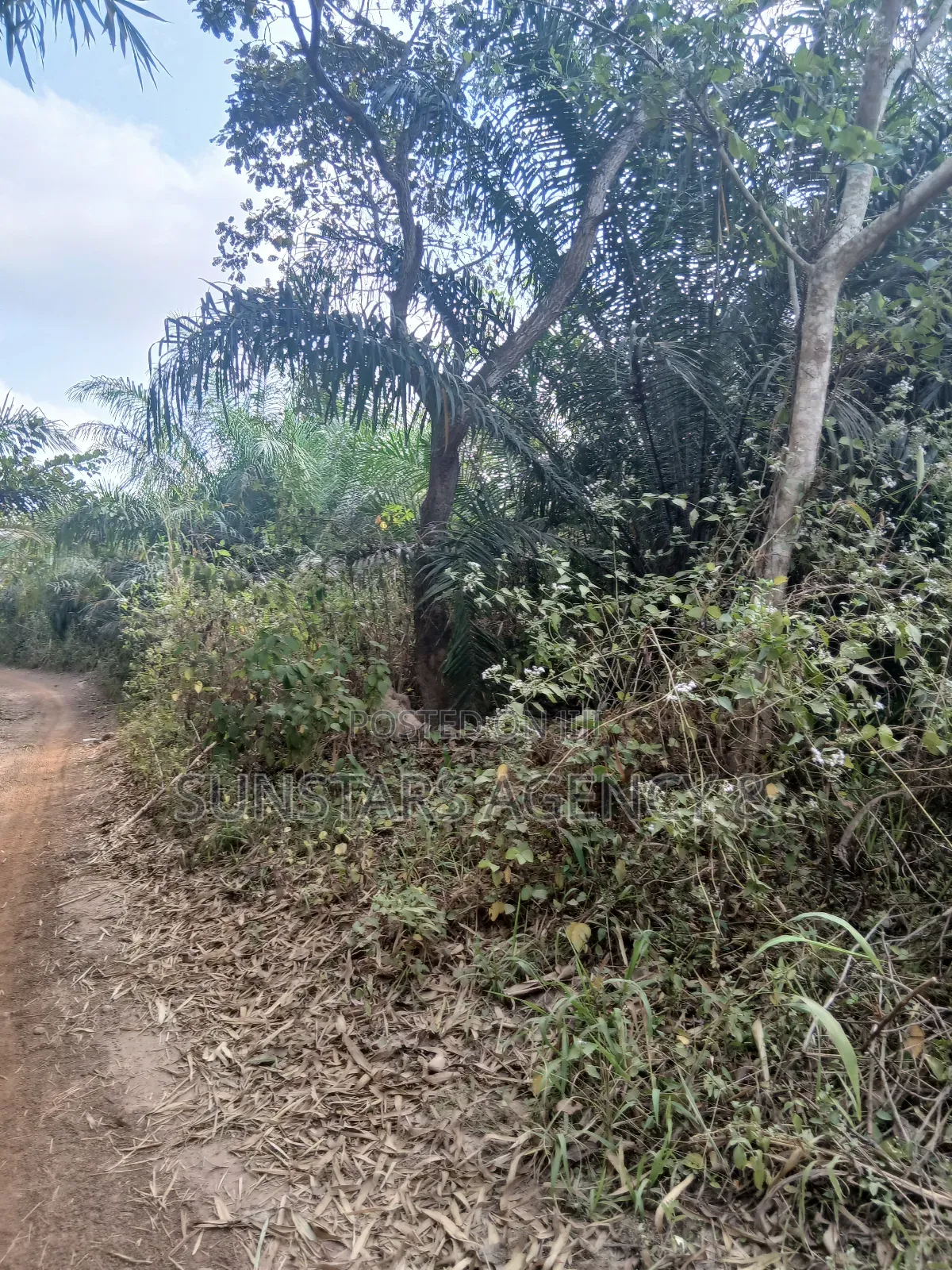 Farm Land for Sale at Wegbe,Hohoe