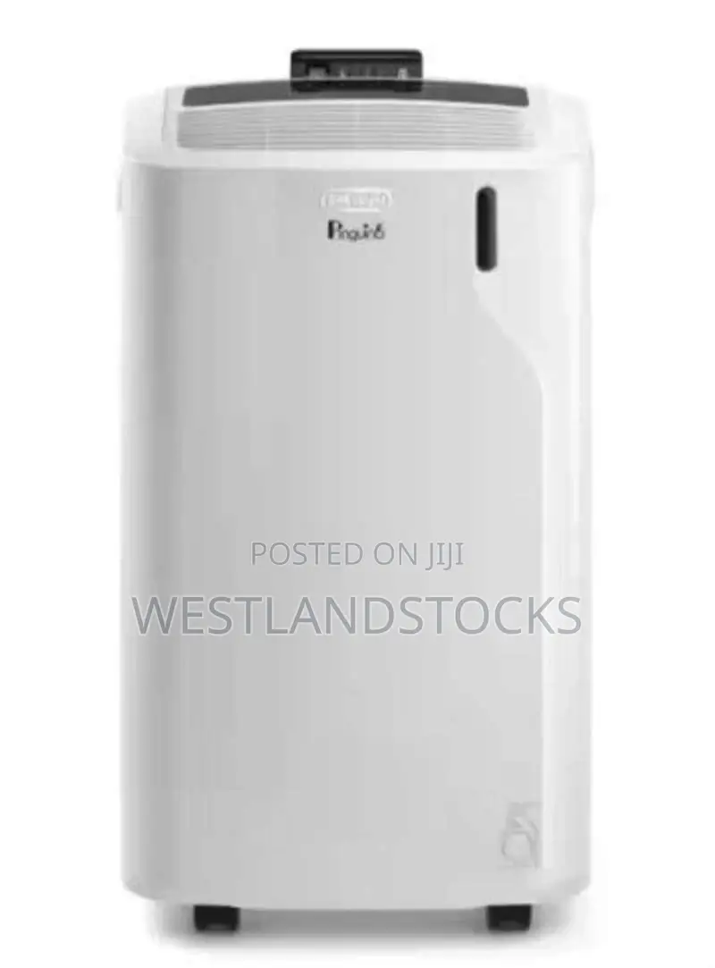De'longhi Pinguino Portable Air Conditioner