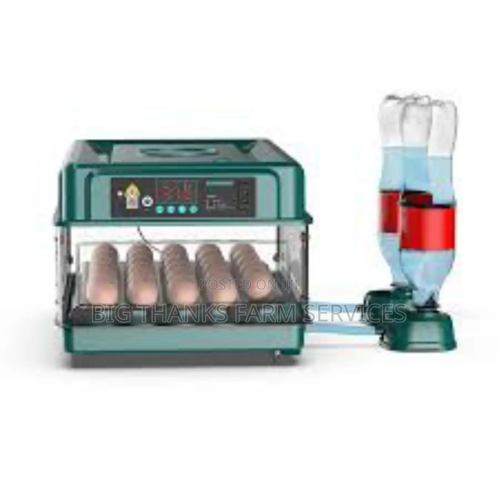 30 Capacity Incubator,Dual Power
