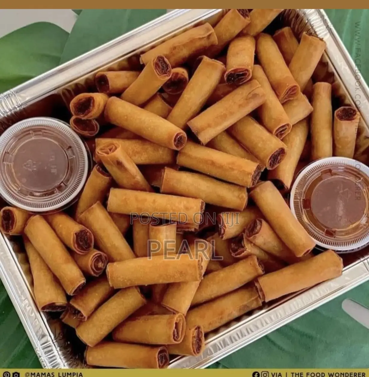Spring Rolls and Samosas