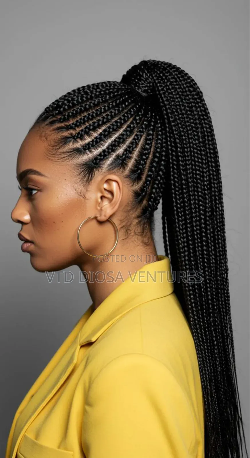 Easy Fix Braided Ponytail Extension