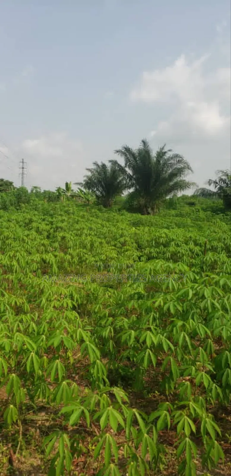 1000acres Of Land For Sale At Dawenya Central University