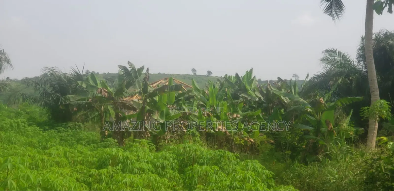 1000acres Of Land For Sale At Dawenya Central University