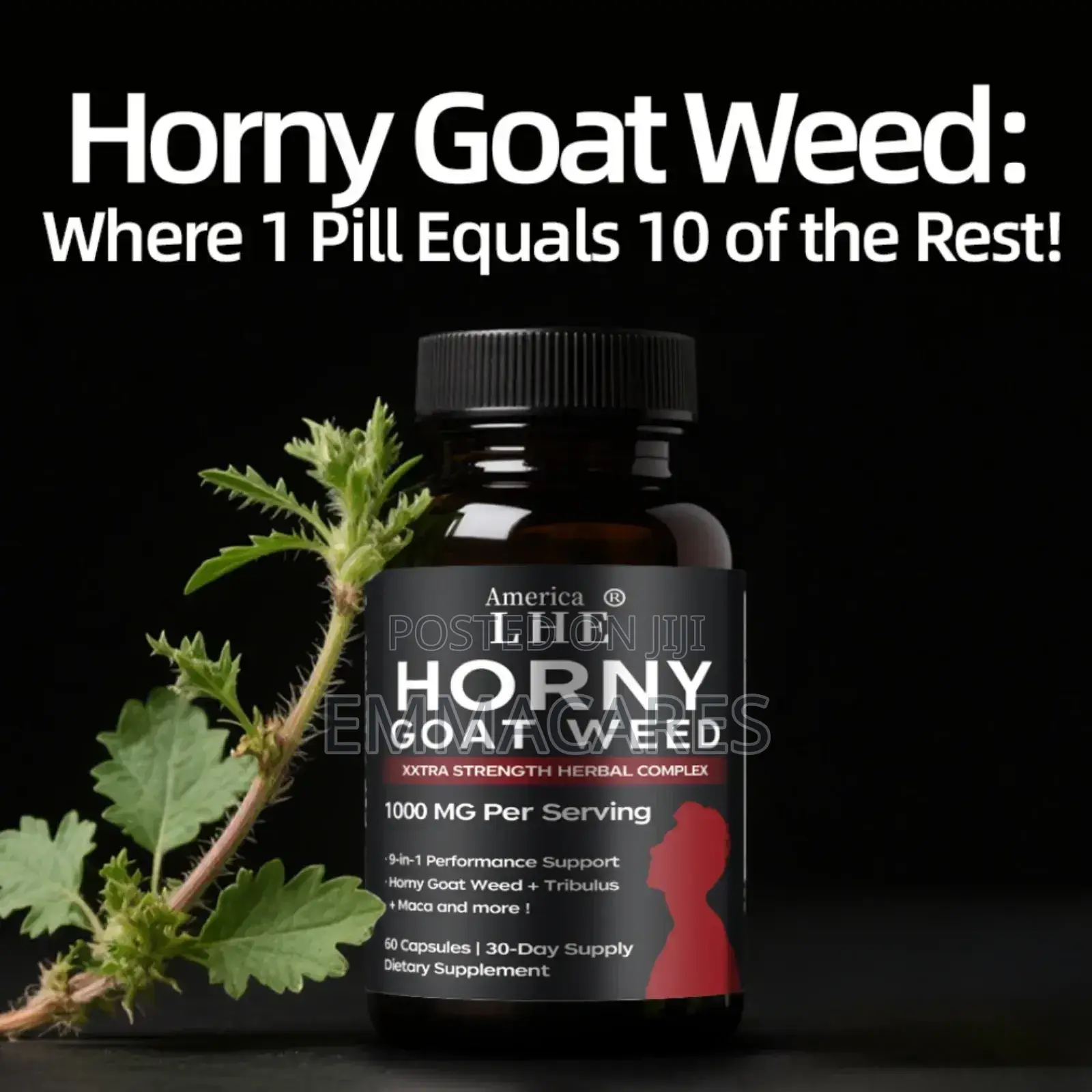 Horny Goat Weed