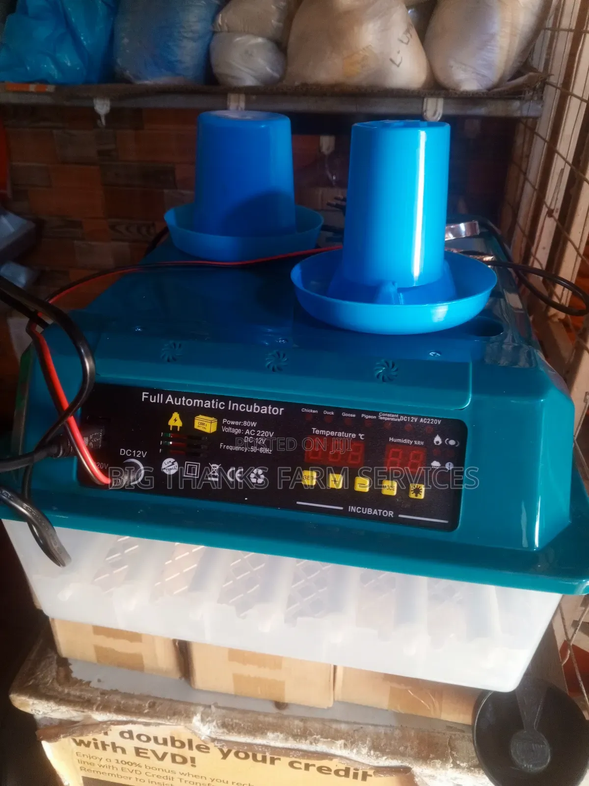 36 Capacity Incubator,Dual P,Multi Function