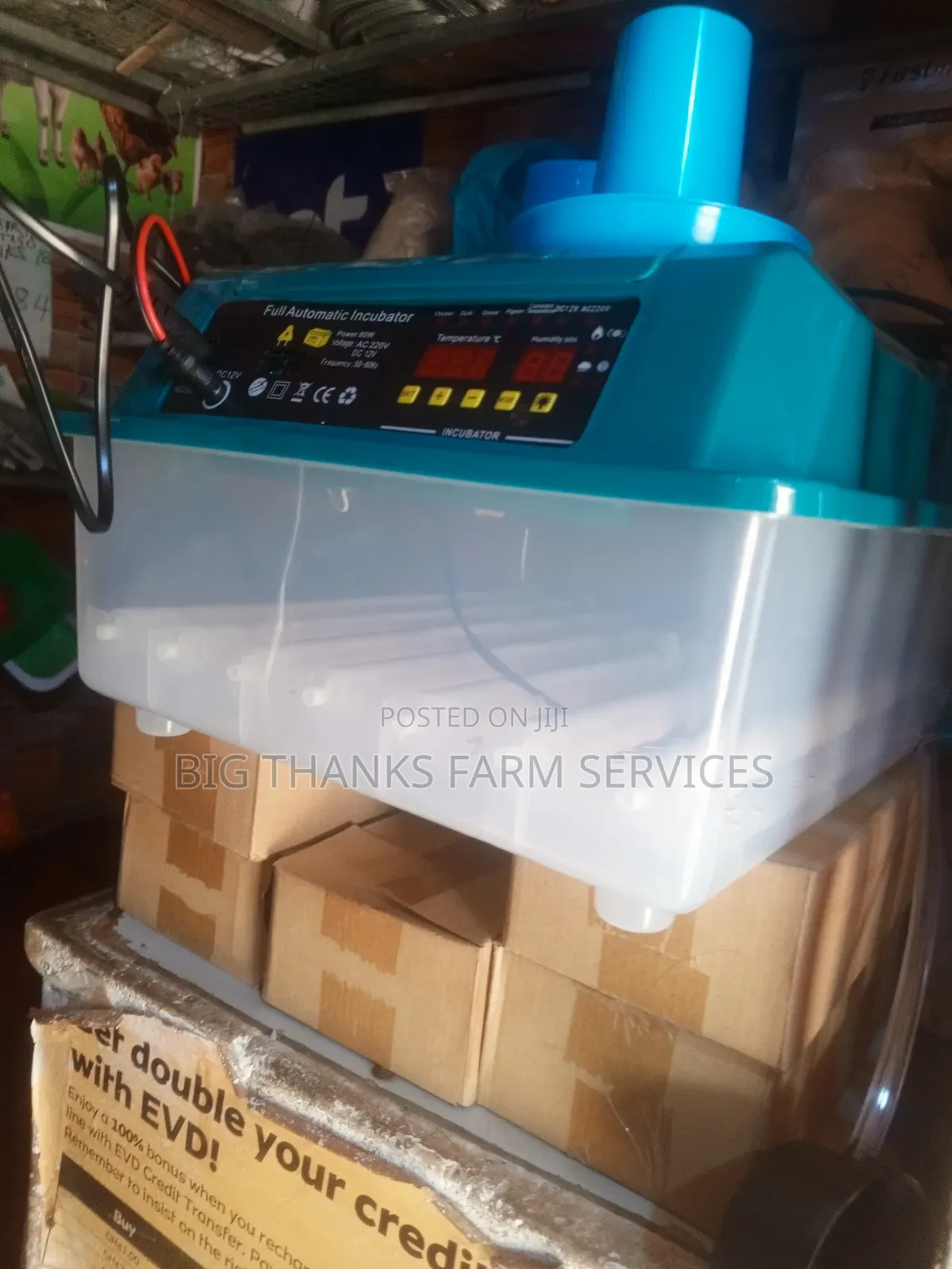 36 Capacity Incubator,Dual Power