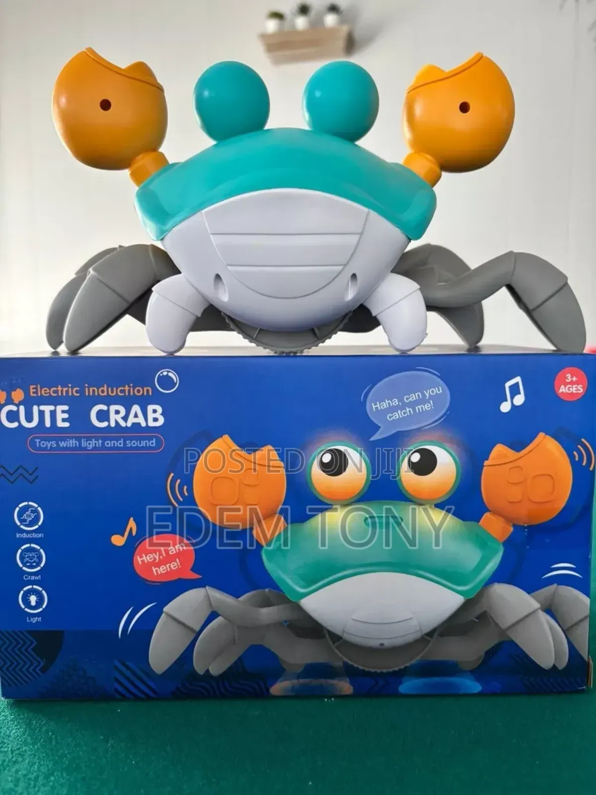 Cute Crab - Electric Induction
