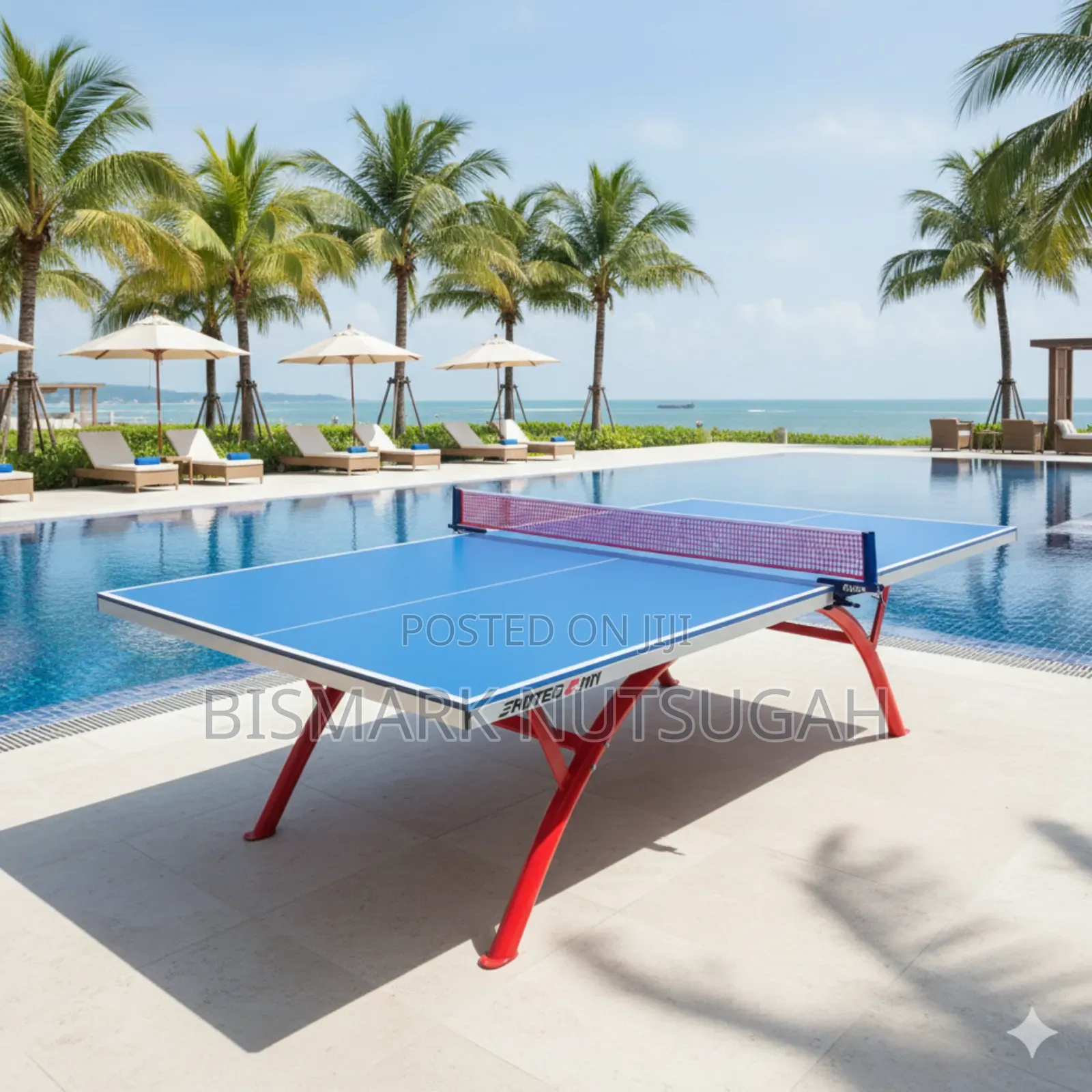 Modern Outdoor Table Tennis