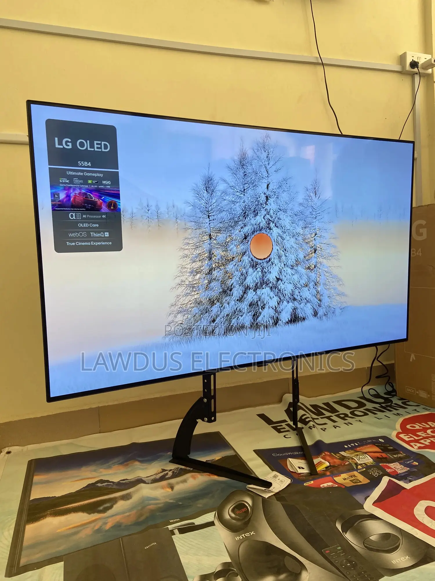 Lg Oled Evo 55 Inches 2024/2025 Model