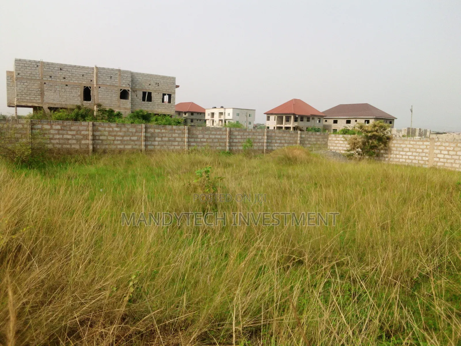 Elegant-Classy Land - Katamanso