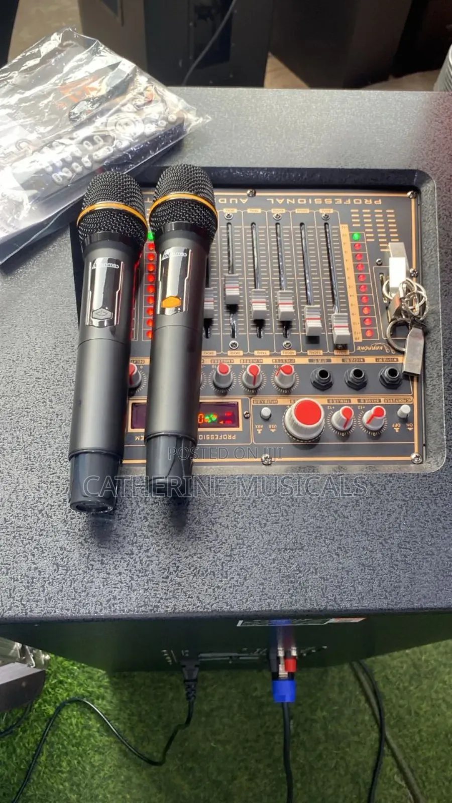 Powered Speaker With 2 Microphone