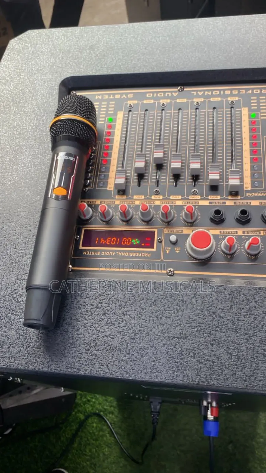 Powered Speaker With 2 Microphone