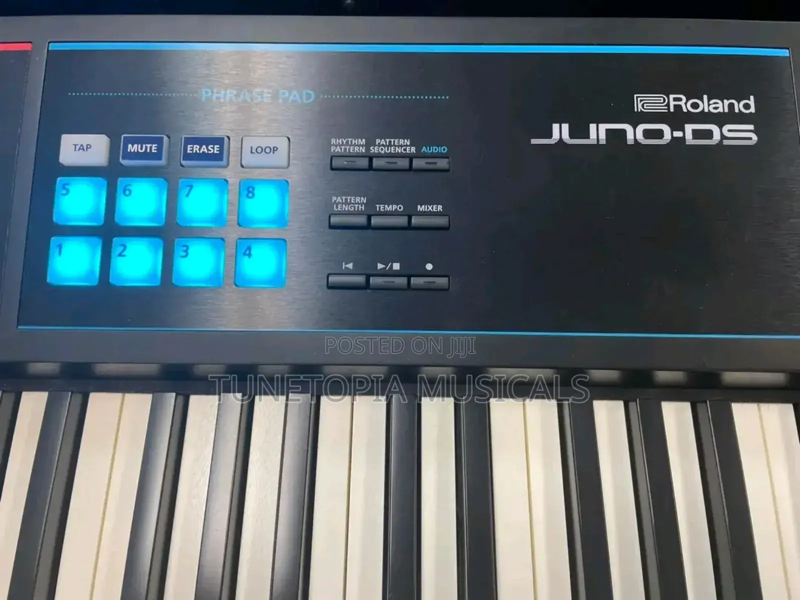 Roland Juno-ds88 88key Keyboard