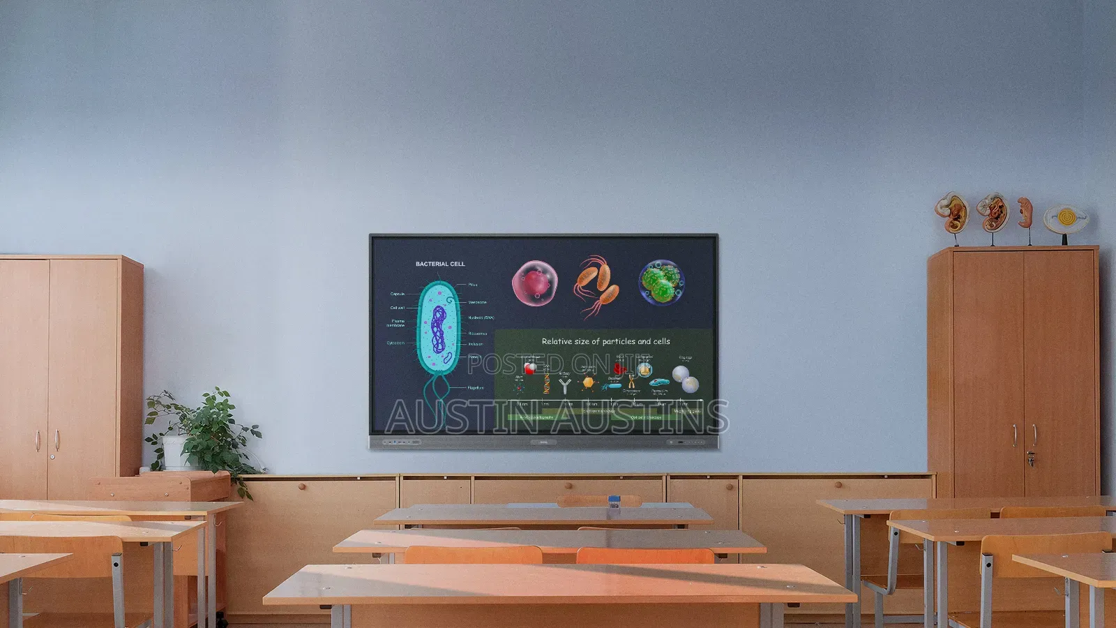 Brand New 65 Inch Smart Interactive Whiteboard Board With Camera