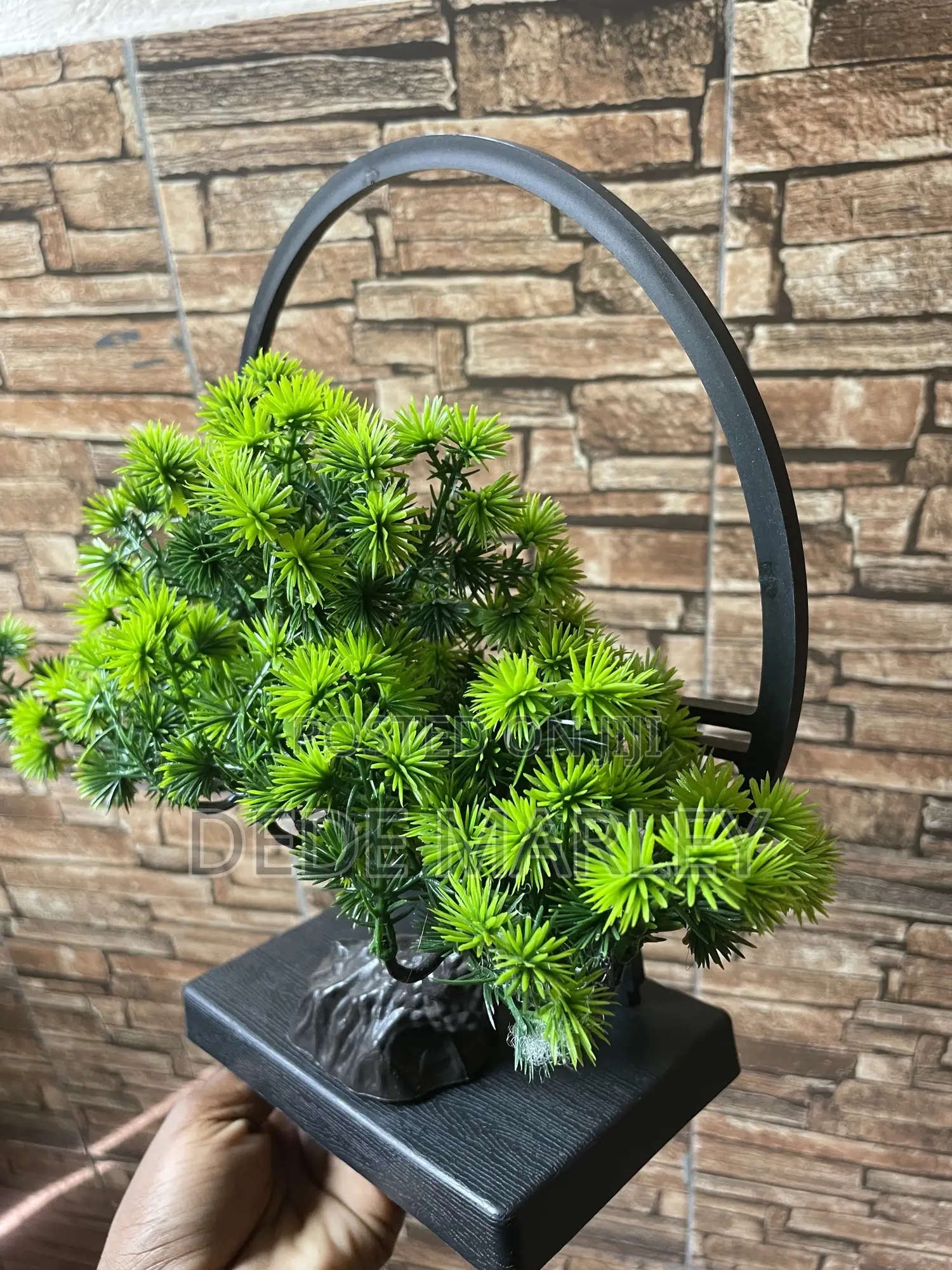 Deco Plant