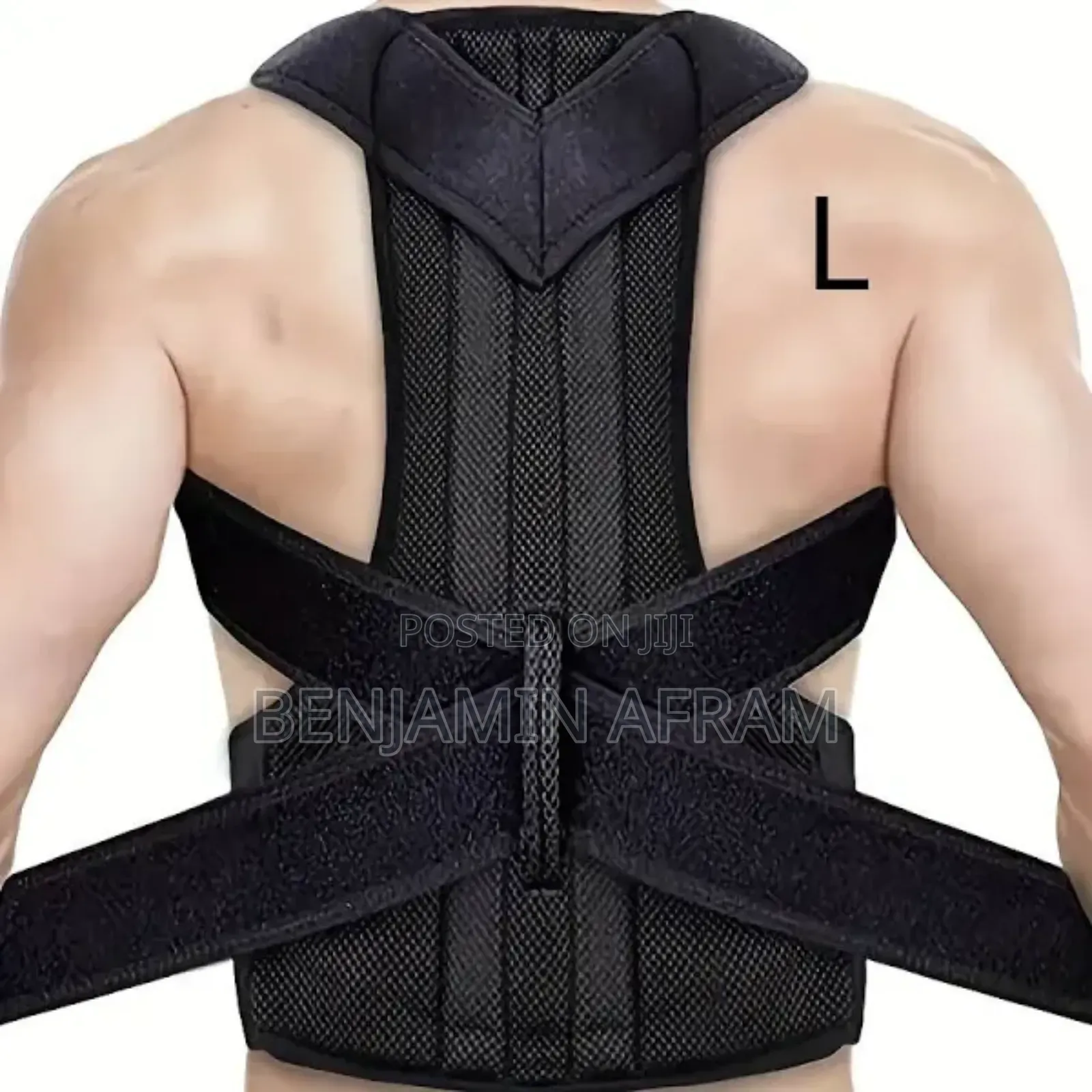 Spine Guard Back Support