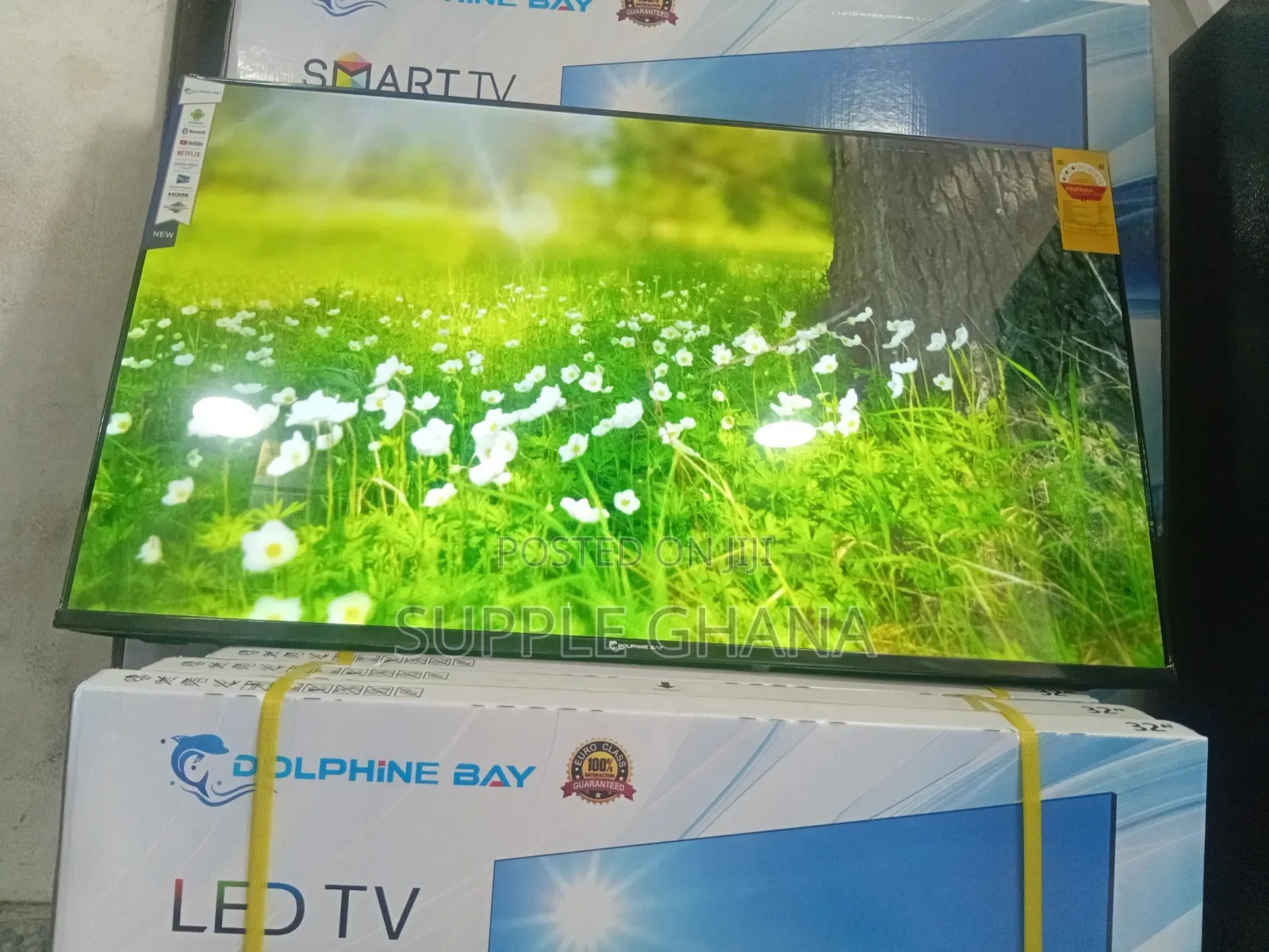 Lumaview Dolphine Bay 43-Inch Smart Tv, Dolphine Bay Smart Tv