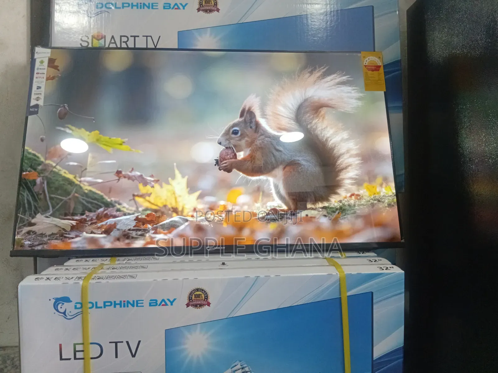 Radiantview Dolphine Bay 43-Inch Smart Tv, Dolphine Bay Smart Tv
