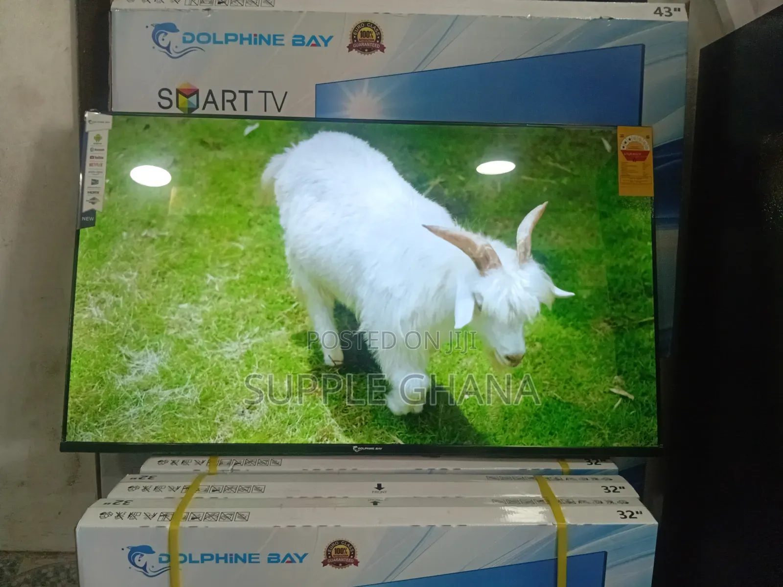 Radiantview Dolphine Bay 43-Inch Smart Tv, Dolphine Bay Smart Tv
