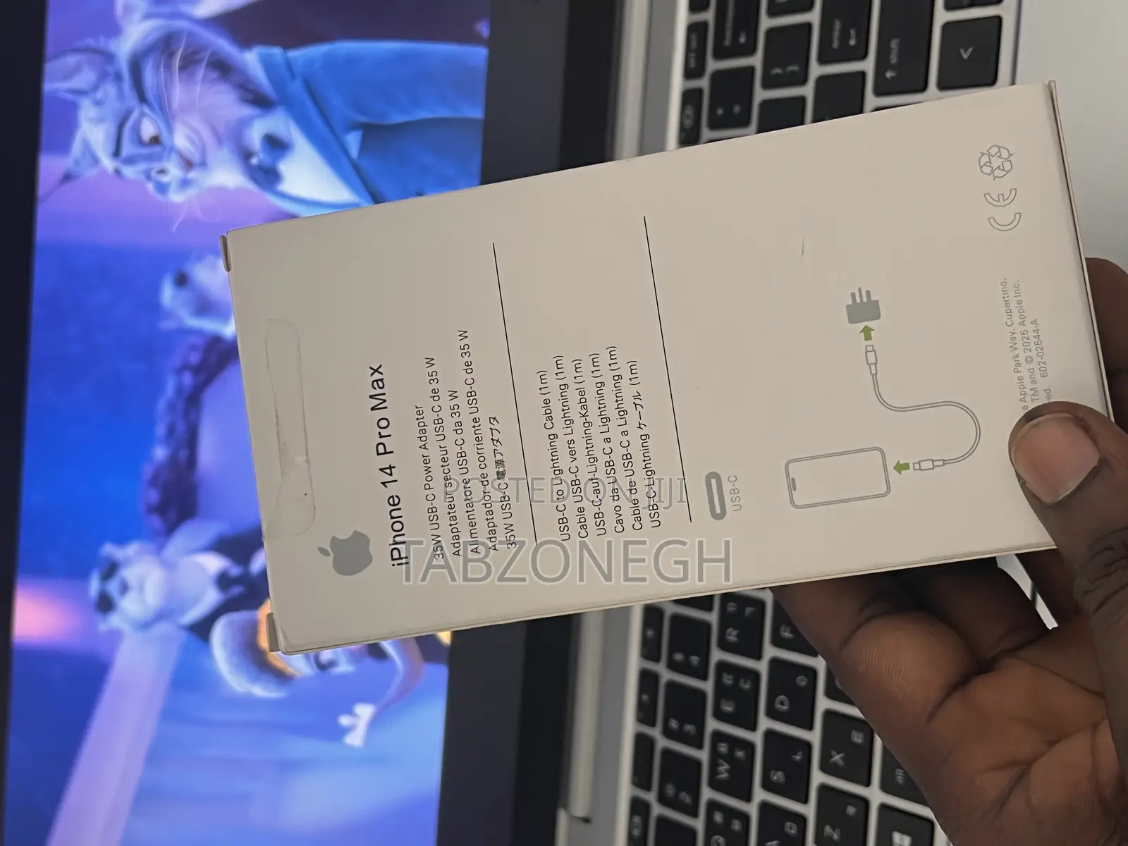 3 Pin iPhone Charger