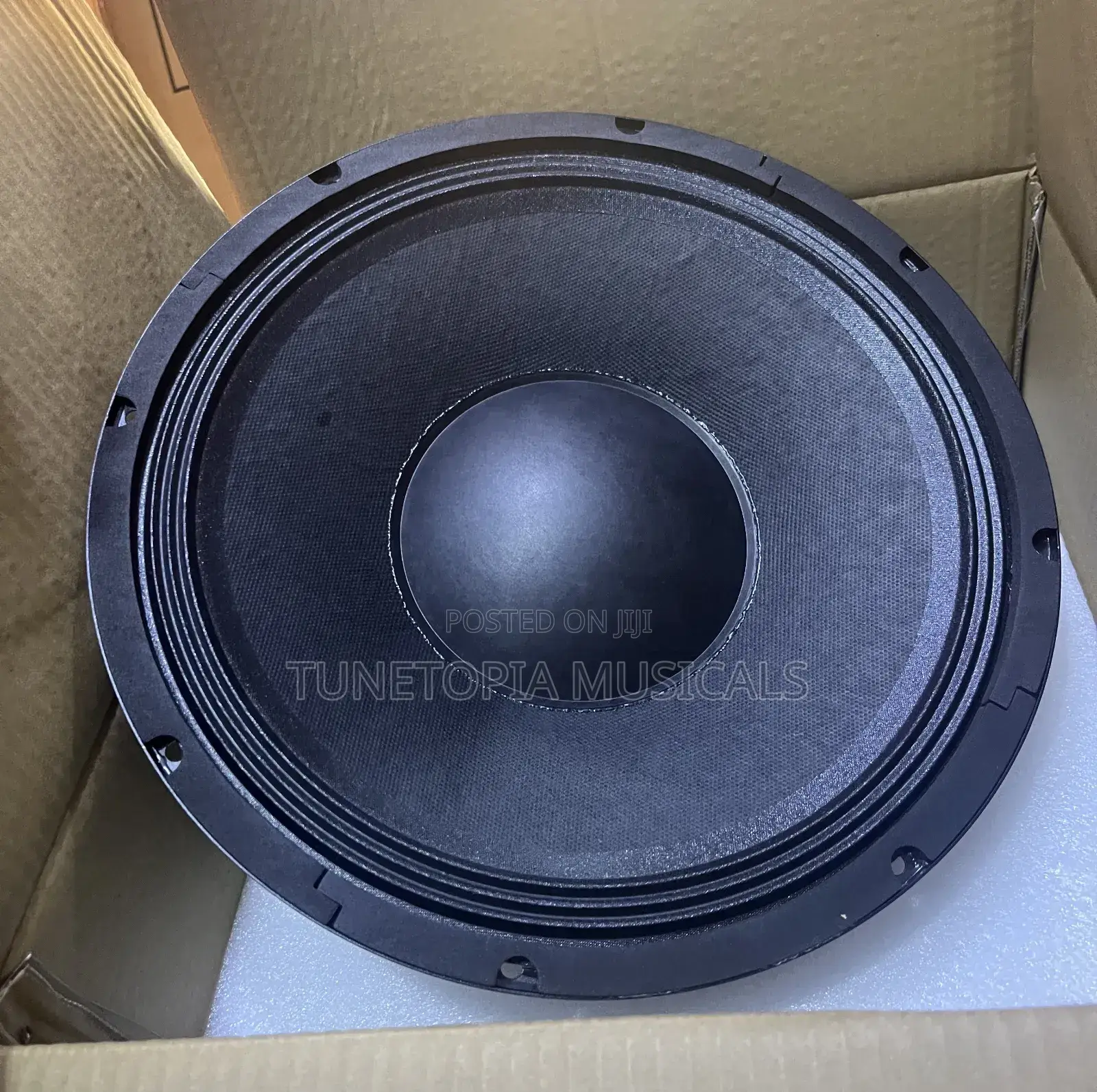 Jld-pw12101-10 12inches 1100watt Pa Speaker.