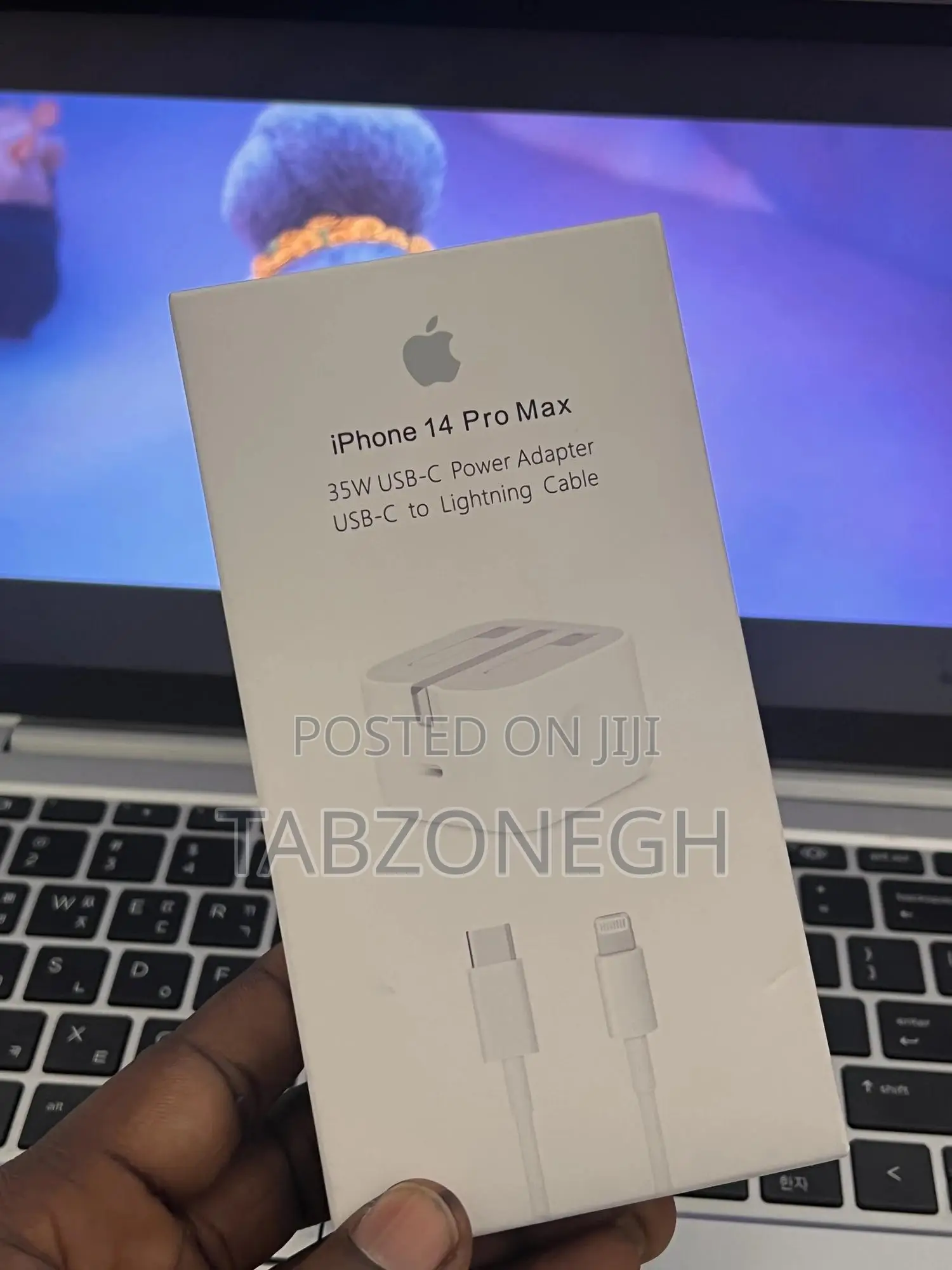 3 Pin iPhone Charger