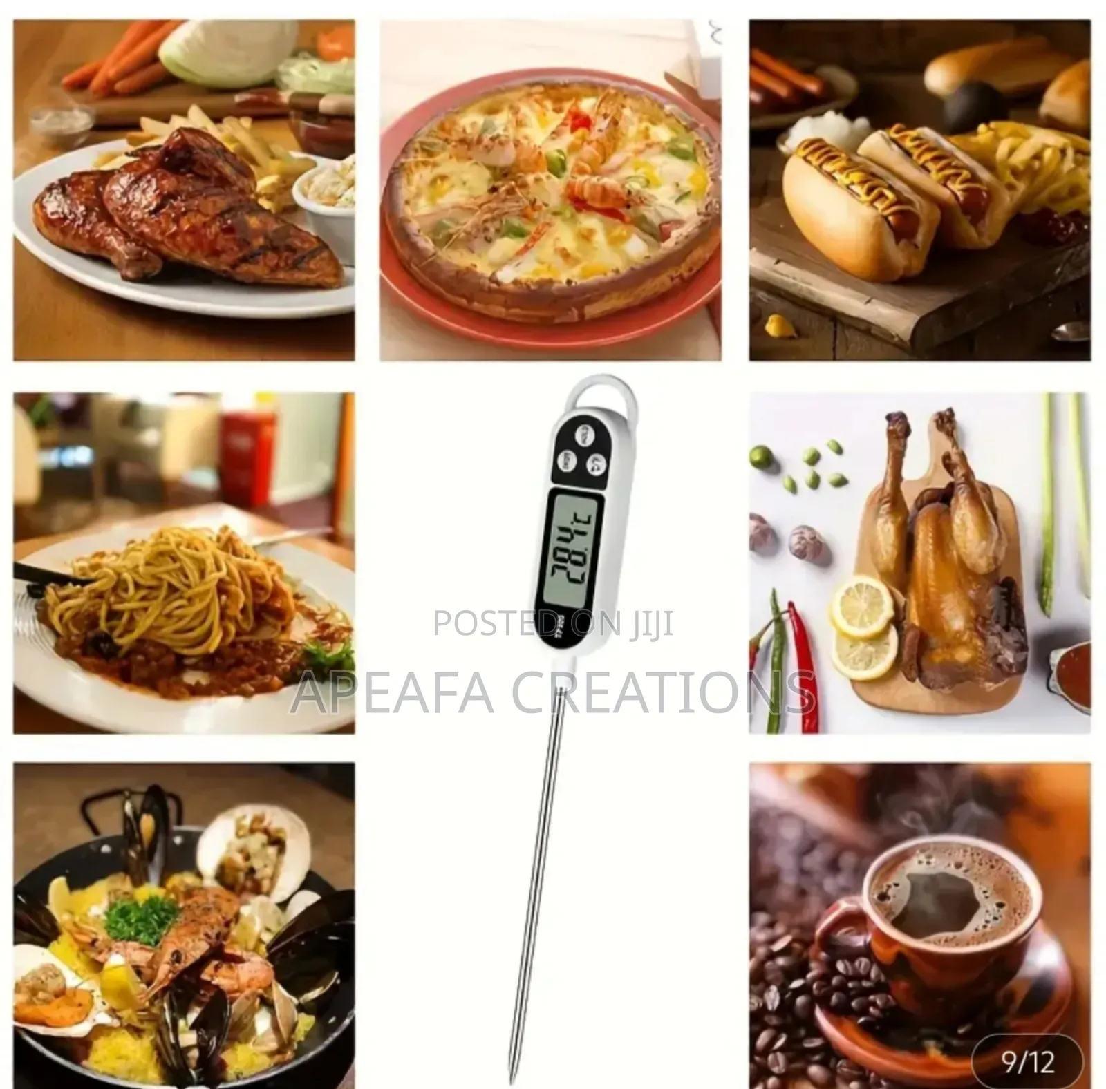 Digital Food Thermometer Probe