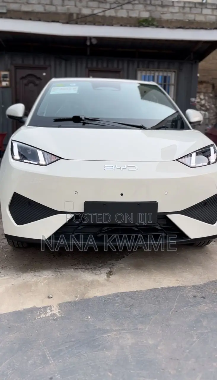 New BYD Seagull 2025 White