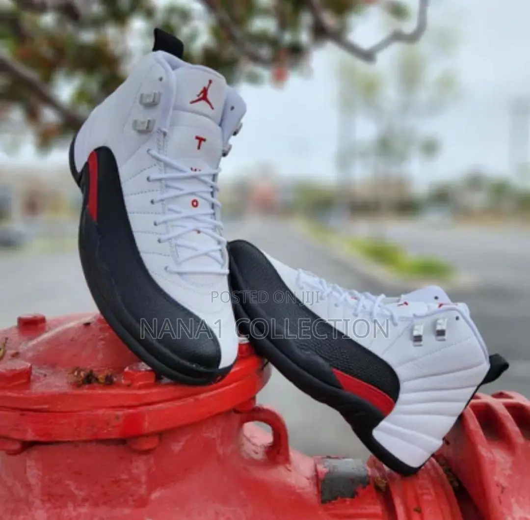 Air Jordan 12 Retro “2 Type Colors”