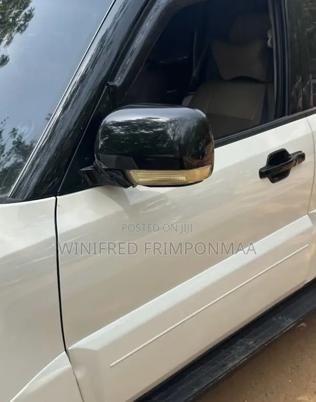 Mitsubishi Pajero 2010-2017 Mirror
