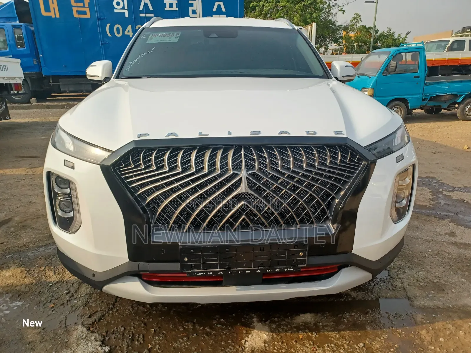 Hyundai Palisade 2021 White
