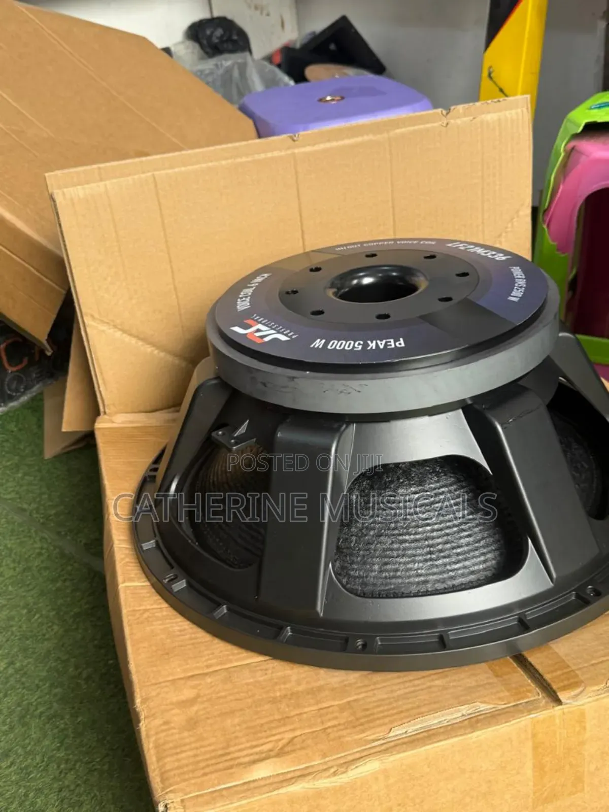 21 Inches 5000watt Jac Naked Speaker