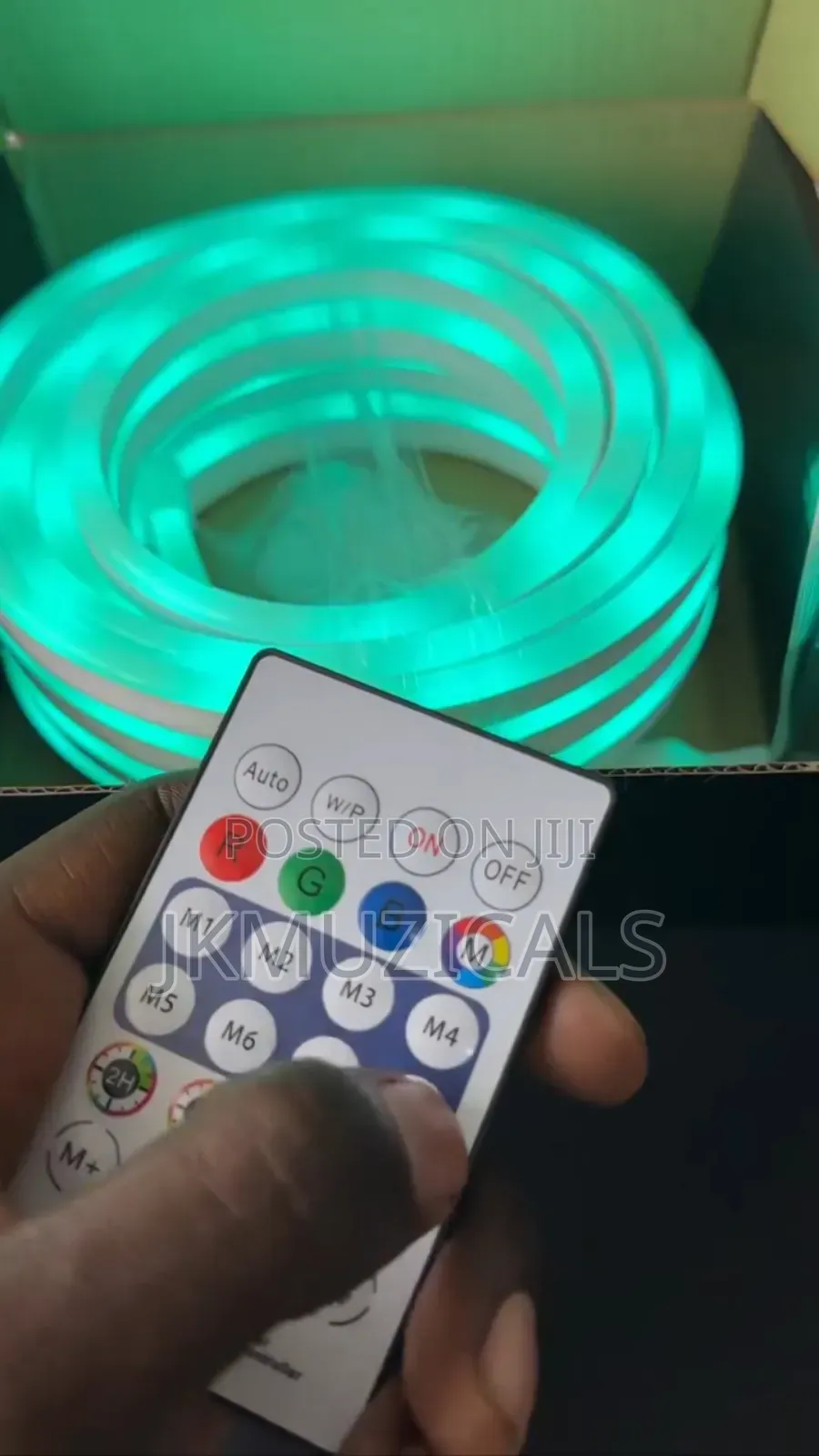 Smart Neon Strip Light