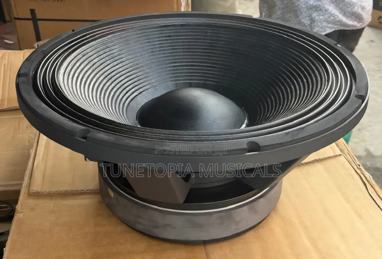 Jac Professional Lf12g301d 12-inch Double Magnet Naked Speaker (1pair)